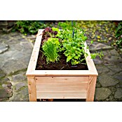 Westmann Hochbeet Emily (65 x 120 x 72 cm, Holz, Natur) | BAUHAUS