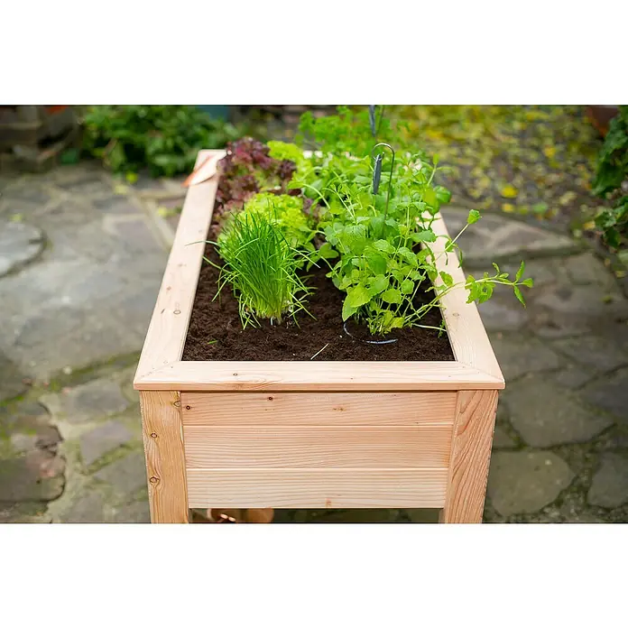 Westmann Hochbeet Emily - 65 x 120 x 72 cm, Holz, Natur - Kräutergarten in einem hölzernen Hochbeet mit verschiedenen Kräutern und Salat, der auf einer Terrasse steht.