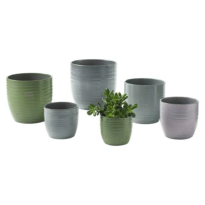 Soendgen Keramik Übertopf rund BergamoAußenmaß (Ø x H): 14 x 13 cm, Blattgrün, Keramik, Glänzend - Eine Kollektion verschiedenfarbiger und unterschiedlich großer Keramikblumentöpfe, von denen einer eine kleine Sukkulente enthält.