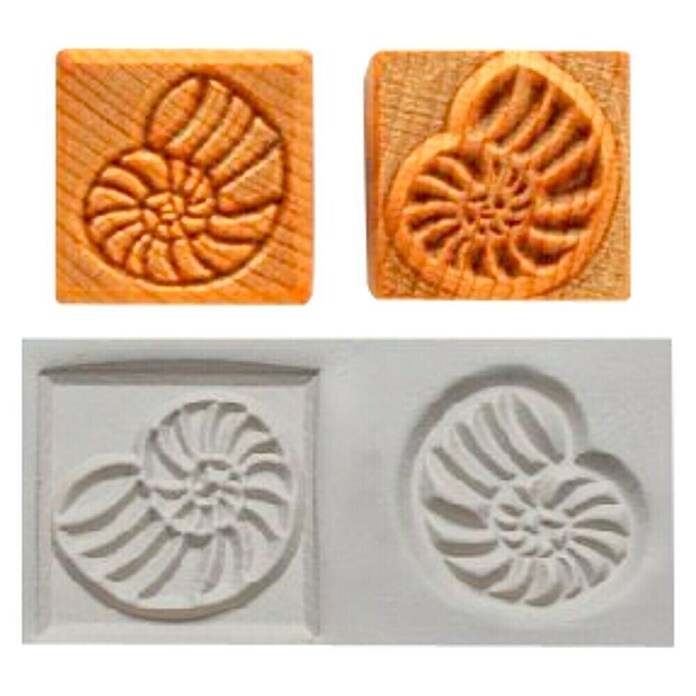 Sello con relieve Ammonite (Ammonite, 3 x 3 cm) | BAUHAUS