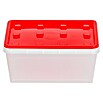 Wisent Aufbewahrungsbox (L x B x H: 135 x 180 x 84 mm, Kunststoff) | BAUHAUS