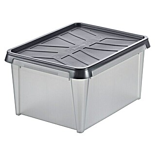 SmartStore Aufbewahrungsbox Dry (31 l, Lebensmittelecht)