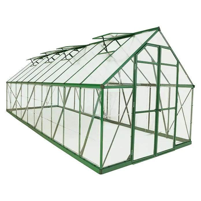 Palram – Canopia Gewächshaus Balance - Außenmaß inkl. Dachüberstand (B x T): 244 x 607 cm, 0,7 mm, Grün - Ein geräumiges Gewächshaus mit grüner Rahmenkonstruktion und durchsichtigen Paneelen, ideal für Pflanzenliebhaber, die eine kontrollierte Umgebung suchen.