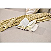 Sunfun Solo Chaise lounge (L x An x Al: 194 x 114,5 x 66 cm, Gris claro, Aluminio) | BAUHAUS