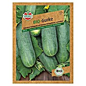 Sperli Gemüsesamen Bio Salatgurke (Cucumis sativus, Saatzeit: Mai) | BAUHAUS