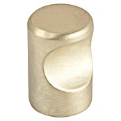 Walteco Meubelknop Venlo (Diameter: 15 mm, Overige, Geborsteld messing) | BAUHAUS