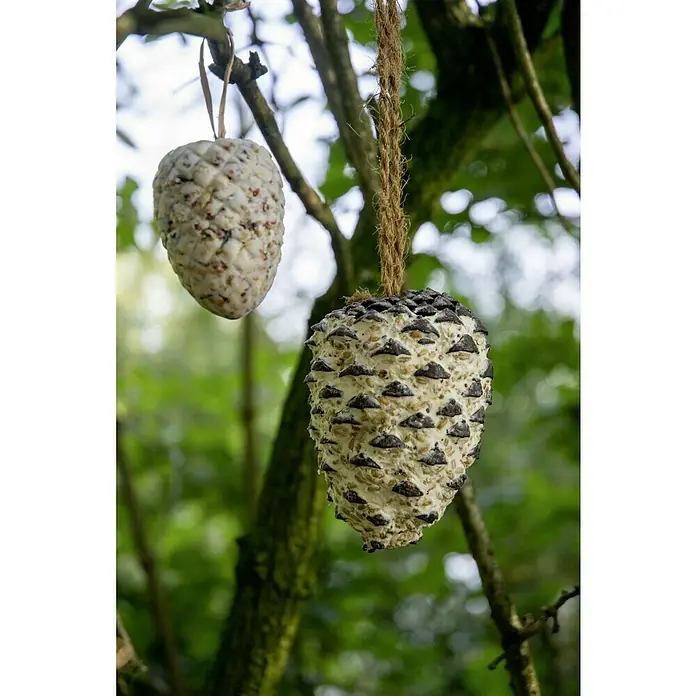 Dobar Wildvogelfutter Set - 8 Stk. - Nahaufnahme von zwei Zapfen-Vogelfutterspendern, die an einem Baum hängen und eine natürliche und tierfreundliche Ergänzung für jeden Garten darstellen.