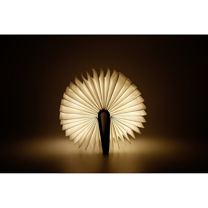 Luz de noche LED (Marrón/Transparente, 2,5 x 9 x 12,3 cm, RGBW)
