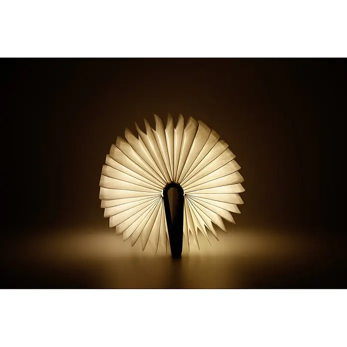 Voltomat Luz de noche LED - Marrón/Transparente, 2,5 x 9 x 12,3 cm, RGBW - Esta imagen muestra una lámpara de libro abierta, que irradia un cálido resplandor y crea un ambiente acogedor.