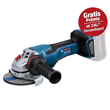 Bosch Professional AMPShare 18V Akku-Winkelschleifer GWS 18V-15 P