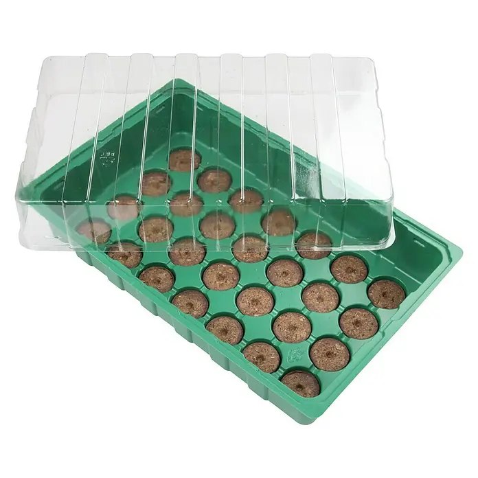 Floraworld Zimmergewächshaus - L x B x H: 35,5 x 22 x 12,5 cm, Grün, Mit 28 Torfquelltöpfen - Anzuchttabletts mit transparentem Deckel. Ideal für die Anzucht von Pflanzen.
