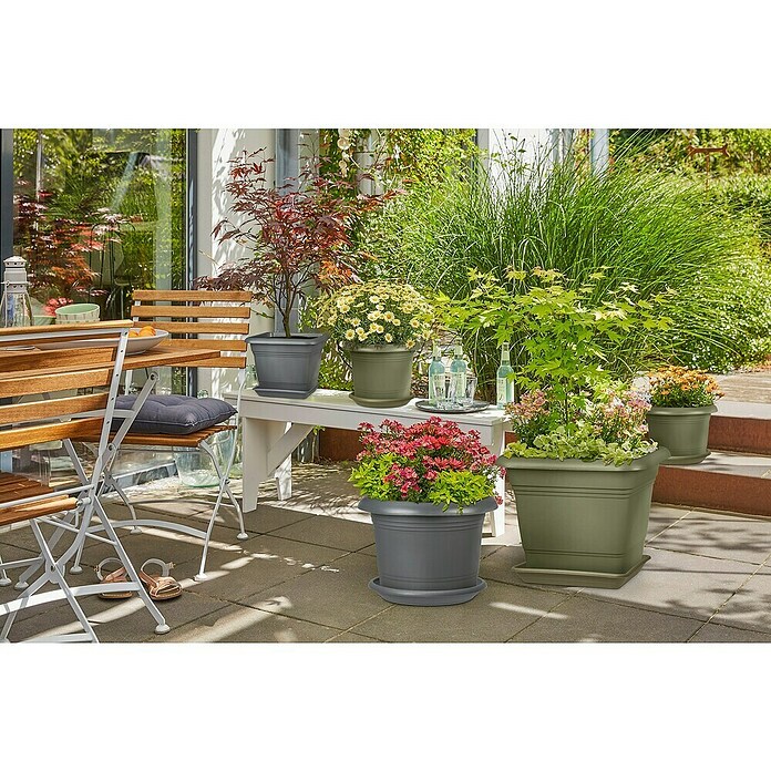 Scheurich Blumentopf-Untersetzer Oliver (Außenmaß (Ø x H): 63 x 9 cm, Kunststoff, Metallic Grey) | BAUHAUS