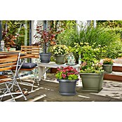 Scheurich Blumentopf-Untersetzer Oliver (Außenmaß (Ø x H): 63 x 9 cm, Kunststoff, Metallic Grey) | BAUHAUS