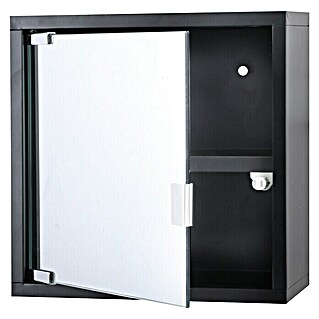 Differnz Spiegelkast Quadro-Spiegel zwart (30 x 30 x 12 cm, Zwart)