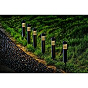 BAUHAUS Set solarnih svjetiljki Mini  (D x Š x V: 4,7 mm x 4,7 cm x 33,5 mm, IP44) | BAUHAUS