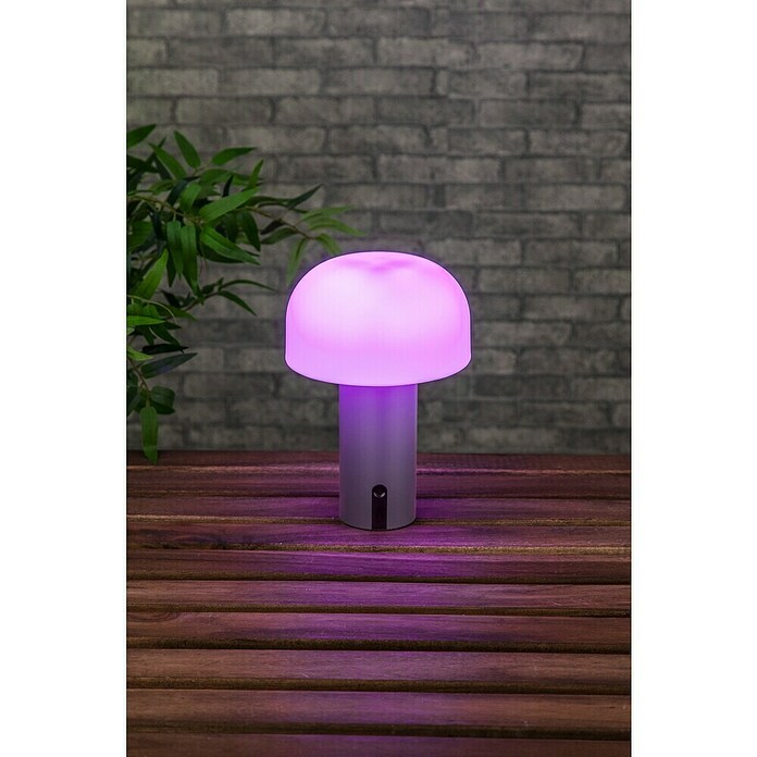 Starlux Akumulatorska namizna svetilka Pisa  (1 W, Do x Š x V: 22 x 15 x 15 cm, RGBW, Siva) | 3111 - Akkuleuchte dekorativ | CAJB - Outdoorleuchten Akku | CAJ - Outdoorleuchten | CA - Beleuchtung | C - Elektro | BAUHAUS