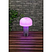 Starlux Akumulatorska namizna svetilka Pisa  (1 W, Do x Š x V: 22 x 15 x 15 cm, RGBW, Siva) | 3111 - Akkuleuchte dekorativ | CAJB - Outdoorleuchten Akku | CAJ - Outdoorleuchten | CA - Beleuchtung | C - Elektro | BAUHAUS