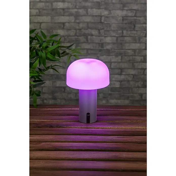 Starlux Akku-Tischleuchte Pilz - 1 W, L x B x H: 22 x 15 x 15 cm, RGBW, Grau - Pilzförmige Tischleuchte mit weichem, farbwechselndem Licht, ideal für eine gemütliche Atmosphäre. Das moderne Design passt perfekt auf jeden Nachttisch.