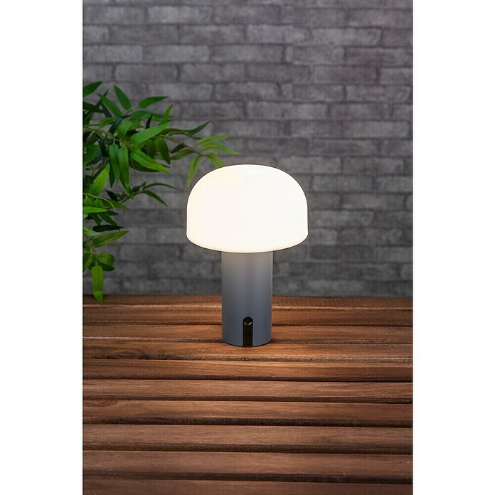 Starlux Akumulatorska namizna svetilka Pisa  (1 W, Do x Š x V: 22 x 15 x 15 cm, RGBW, Siva) | 3111 - Akkuleuchte dekorativ | CAJB - Outdoorleuchten Akku | CAJ - Outdoorleuchten | CA - Beleuchtung | C - Elektro | BAUHAUS