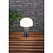 Starlux Akumulatorska namizna svetilka Pisa  (1 W, Do x Š x V: 22 x 15 x 15 cm, RGBW, Siva) | 3111 - Akkuleuchte dekorativ | CAJB - Outdoorleuchten Akku | CAJ - Outdoorleuchten | CA - Beleuchtung | C - Elektro | BAUHAUS