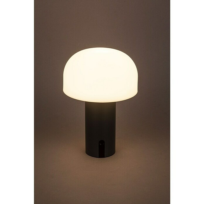 Starlux Akumulatorska namizna svetilka Pisa  (1 W, Do x Š x V: 22 x 15 x 15 cm, RGBW, Siva) | 3111 - Akkuleuchte dekorativ | CAJB - Outdoorleuchten Akku | CAJ - Outdoorleuchten | CA - Beleuchtung | C - Elektro | BAUHAUS