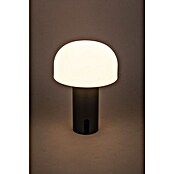 Starlux Akumulatorska namizna svetilka Pisa  (1 W, Do x Š x V: 22 x 15 x 15 cm, RGBW, Siva) | 3111 - Akkuleuchte dekorativ | CAJB - Outdoorleuchten Akku | CAJ - Outdoorleuchten | CA - Beleuchtung | C - Elektro | BAUHAUS