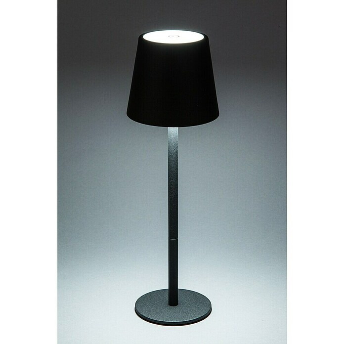 Starlux Akumulatorska namizna svetilka Paola Mini  (3 kos, 1,6 W, Do x Š x V: 8,6 x 8,6 x 27 cm, Črna, Topla bela) | 3111 - Akkuleuchte dekorativ | CAJB - Outdoorleuchten Akku | CAJ - Outdoorleuchten | CA - Beleuchtung | C - Elektro | BAUHAUS