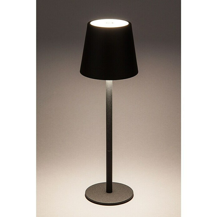 Starlux Akumulatorska namizna svetilka Paola Mini  (3 kos, 1,6 W, Do x Š x V: 8,6 x 8,6 x 27 cm, Črna, Topla bela) | 3111 - Akkuleuchte dekorativ | CAJB - Outdoorleuchten Akku | CAJ - Outdoorleuchten | CA - Beleuchtung | C - Elektro | BAUHAUS