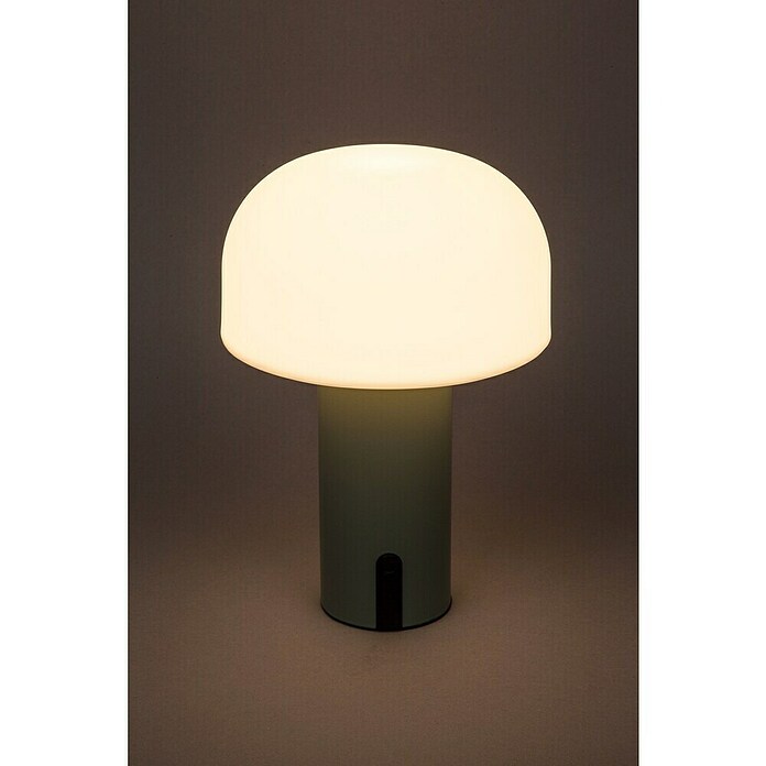 Starlux Akumulatorska namizna svetilka Pisa  (1 W, Do x Š x V: 22 x 15 x 15 cm, RGBW, Zelena) | 3111 - Akkuleuchte dekorativ | CAJB - Outdoorleuchten Akku | CAJ - Outdoorleuchten | CA - Beleuchtung | C - Elektro | BAUHAUS