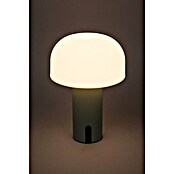 Starlux Akumulatorska namizna svetilka Pisa  (1 W, Do x Š x V: 22 x 15 x 15 cm, RGBW, Zelena) | 3111 - Akkuleuchte dekorativ | CAJB - Outdoorleuchten Akku | CAJ - Outdoorleuchten | CA - Beleuchtung | C - Elektro | BAUHAUS