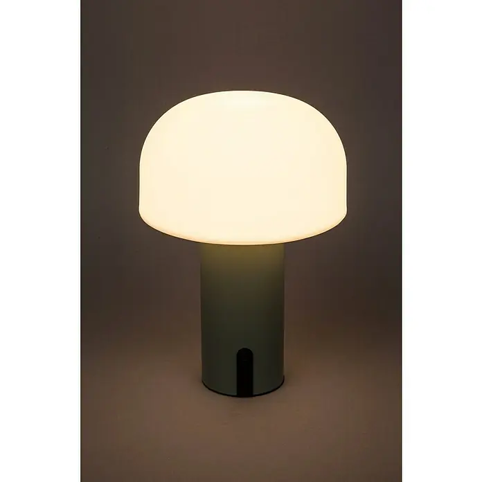 Starlux Akku-Tischleuchte Pilz - 1 W, L x B x H: 22 x 15 x 15 cm, RGBW, Grün - Die schlichte, pilzförmige Tischleuchte sorgt mit ihrem sanften Schein für eine angenehme Atmosphäre. Die perfekte Lichtquelle für jeden Raum.