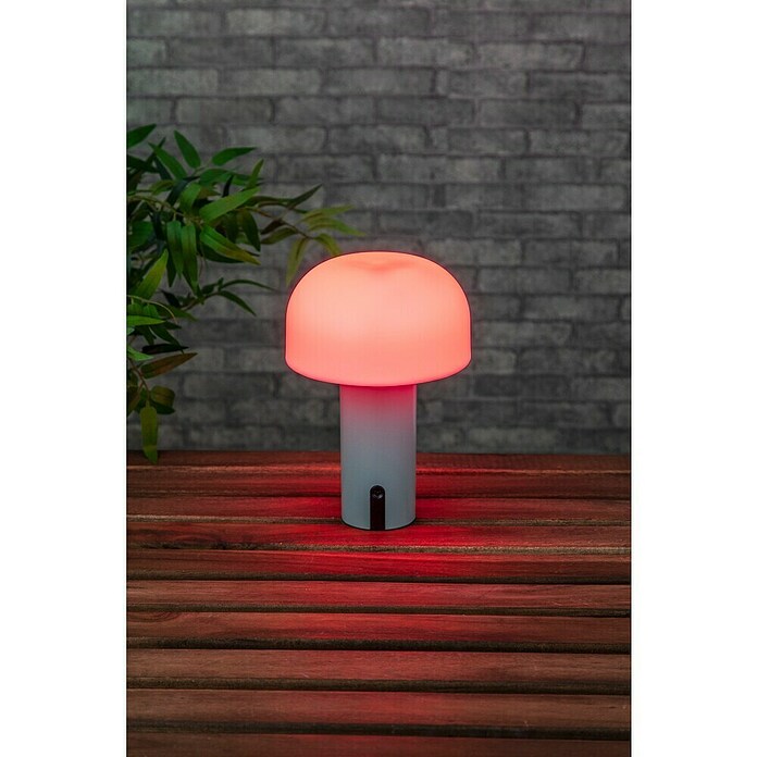 Starlux Akumulatorska namizna svetilka Pisa  (1 W, Do x Š x V: 22 x 15 x 15 cm, RGBW, Zelena) | 3111 - Akkuleuchte dekorativ | CAJB - Outdoorleuchten Akku | CAJ - Outdoorleuchten | CA - Beleuchtung | C - Elektro | BAUHAUS