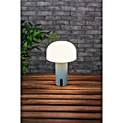 Starlux Akumulatorska namizna svetilka Pisa  (1 W, Do x Š x V: 22 x 15 x 15 cm, RGBW, Zelena) | 3111 - Akkuleuchte dekorativ | CAJB - Outdoorleuchten Akku | CAJ - Outdoorleuchten | CA - Beleuchtung | C - Elektro | BAUHAUS