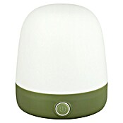 Starlux LED-Tischleuchte Mini (0,3 W, L x B x H: 10 x 10 x 12 cm, Matcha Green, RGBW) | BAUHAUS