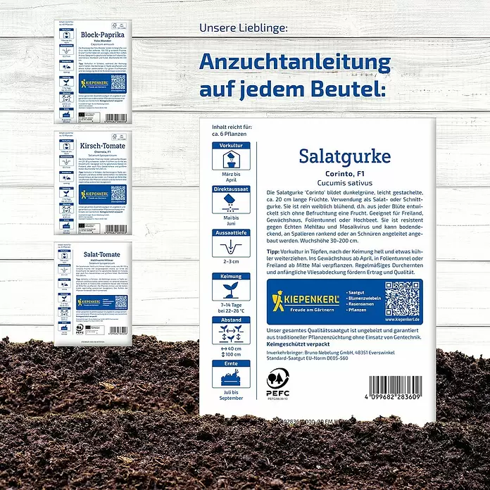 Kiepenkerl Saatgut Bundle Unsere Lieblinge - Mischung, 6 Stk. - Salatgurke Corinto Samenpackung mit Pflanzanleitung auf Erde.