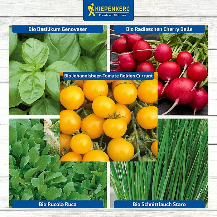 Kiepenkerl Saatgut Bundle Nachhaltiges Gärtnern - Mischung - Collage verschiedener Bio-Pflanzen: Basilikum, Radieschen, gelbe Tomaten, Rucola und Schnittlauch.