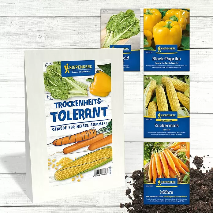 künstliches eiweiß 3-er Bundle Clear Protein (Alle Sorten wählbar) main image 1