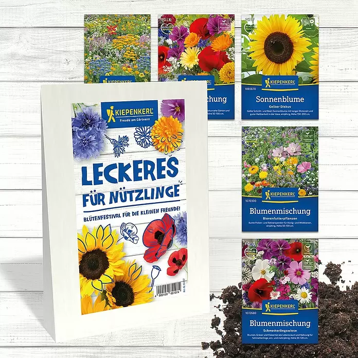 Kiepenkerl Saatgut Bundle Leckeres für Nützlinge - Mischung, 6 Stk. - Kiepenkerl Blumensamenpakete (Sonnenblume, Bienenmischung) und ein gerahmtes Poster 'Leckeres für Nützlinge' für Insekten.