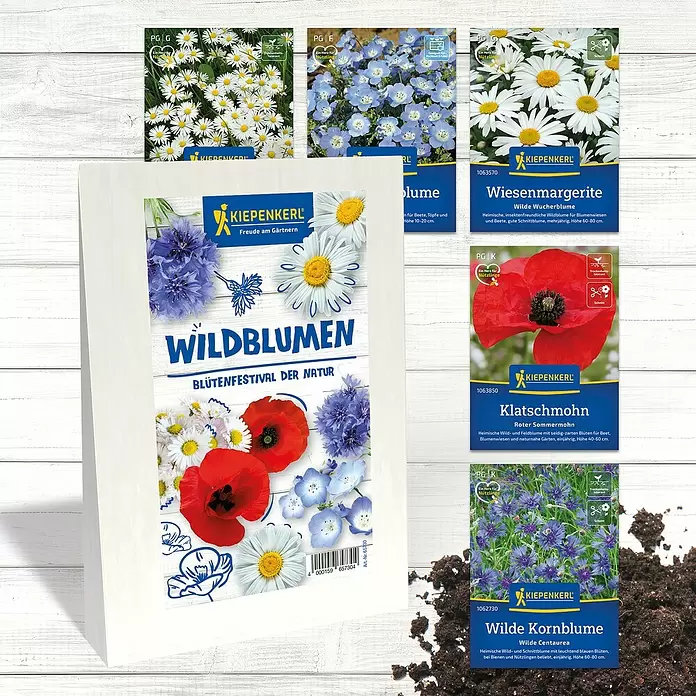Wildblumensamen - 'Blütenfestival der Natur' - Kiepenkerl Wildblumensamen-Set mit großem Display-Päckchen und Einzelpäckchen für Margeriten, Mohn und Kornblumen.