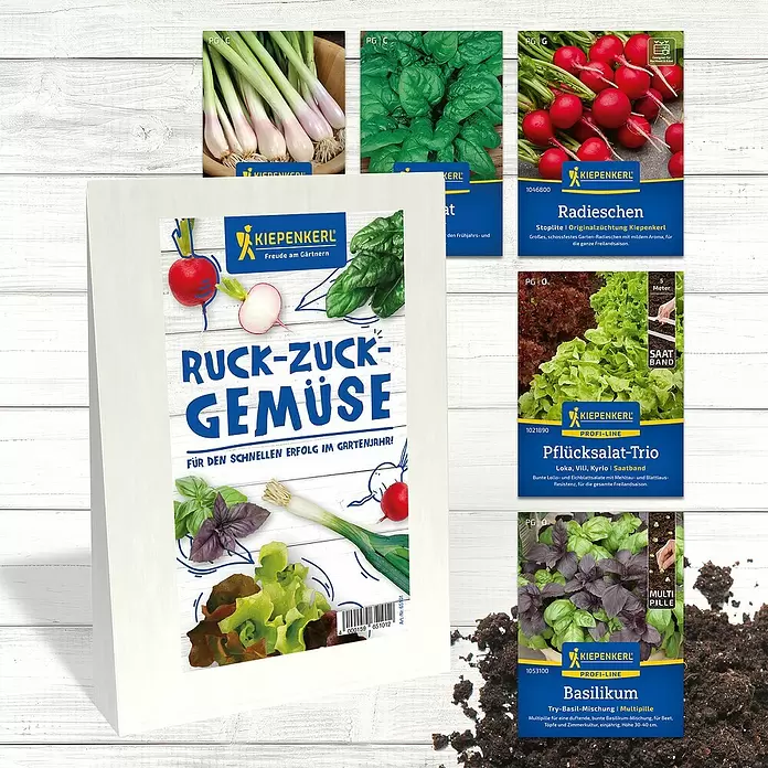 Kiepenkerl Saatgut Bundle Ruck-Zuck-Gemüse - Mischung, 6 Stk. - Kiepenkerl Gemüsesaattüten und eine 'Ruck-Zuck-Gemüse' Displaykarte mit Radieschen, Salat, Basilikum, Frühlingszwiebeln.