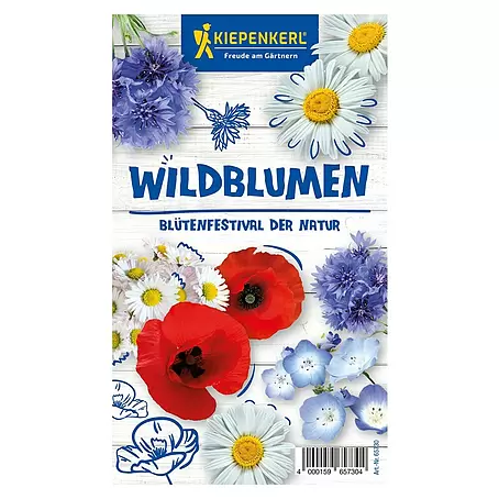 Wildblumensamen