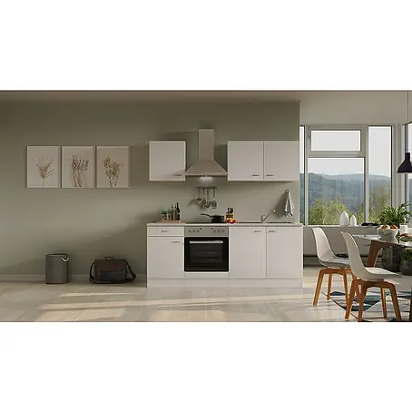 Flex-Well Wito Singleküche