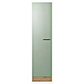 Flex-Well Cara Geschirrschrank (B x T x H: 50 x 57 x 200 cm, Grün) | BAUHAUS