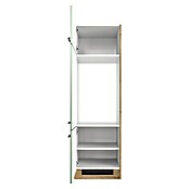 Flex-Well Cara Geräteumbauschrank (B x T x H: 50 x 57 x 200 cm, Grün) | BAUHAUS