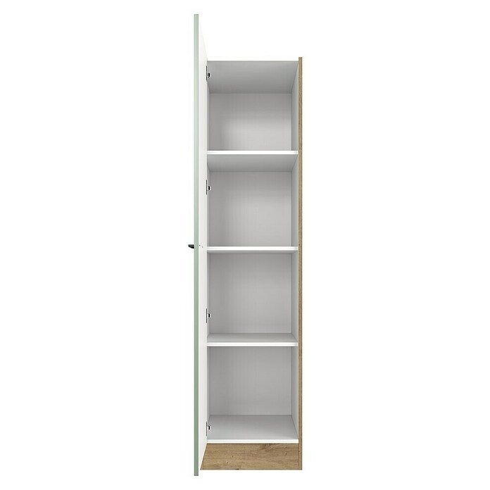 Flex-Well Cara Geschirrschrank (B x T x H: 50 x 57 x 200 cm, Grün) | BAUHAUS