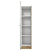 Flex-Well Cara Geschirrschrank (B x T x H: 50 x 57 x 200 cm, Grün) | BAUHAUS