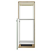 Flex-Well Cara Kühlumbauschrank (B x T x H: 60 x 57 x 168,5 cm, Grün) | BAUHAUS