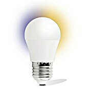 Garza Smart Home Bombilla LED (5,5 W, E27, Color de luz: Blanco, Intensidad regulable, Redondeada)