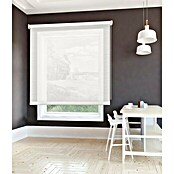 Estor enrollable Roll-up Scene (An x Al: 45 x 180 cm, Mar blanco, Traslúcido)