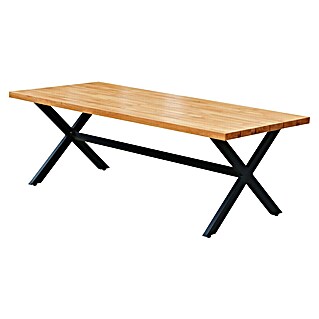 Tuintafel X-poot (l x b x h: 220 x 100 x 76 cm, Robinia / Aluminium, Rechthoekig, Natuurlijk bruin/zwart)